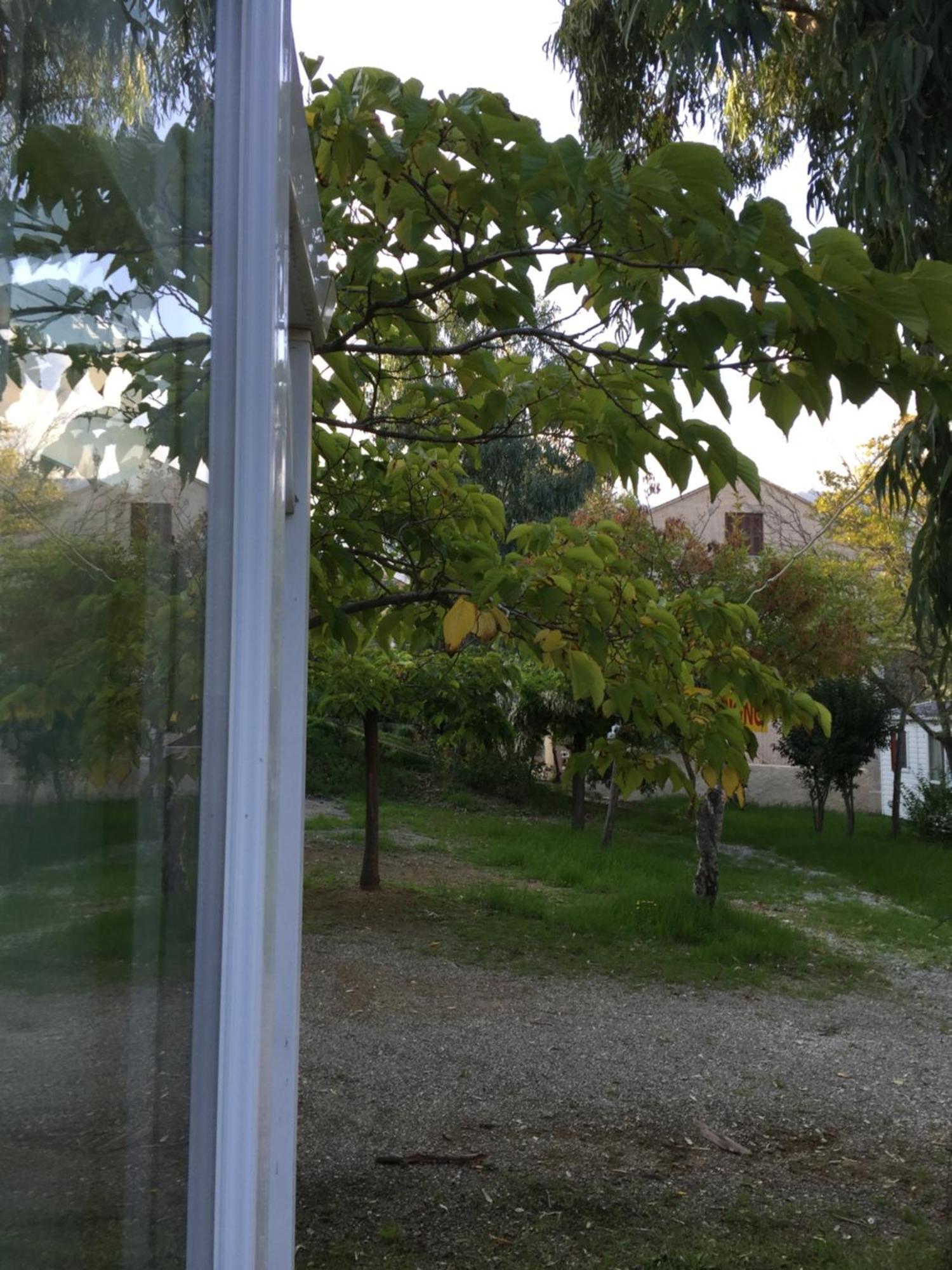 Camping Les Orangers San-Martino-di-Lota Quarto foto